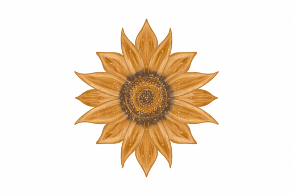 Enhancing Digital Design with Hand-Drawn Painted Sunflower PNGs